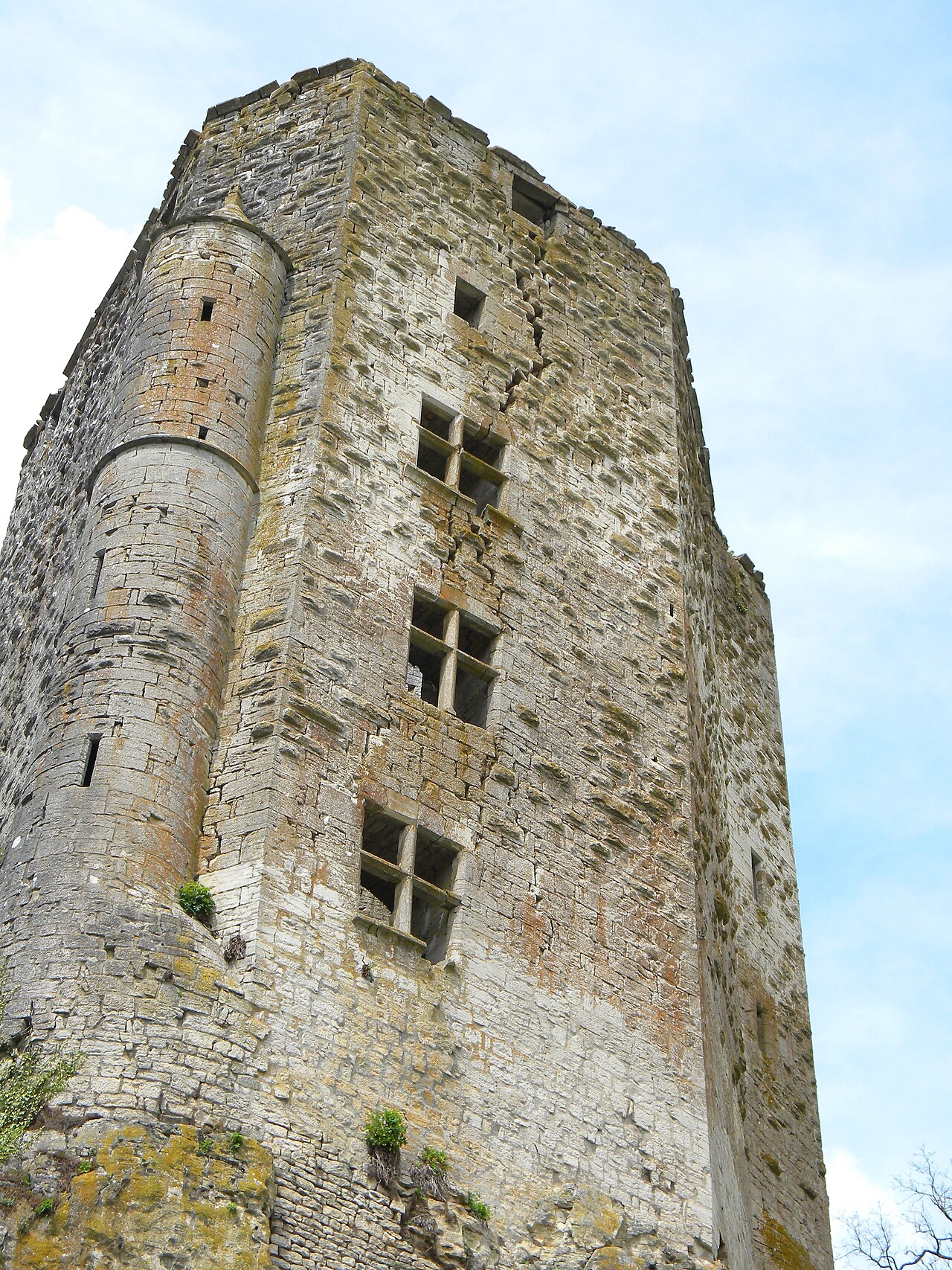 Château de Chaudenay-le-Château